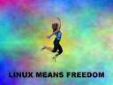 linuxmeansfreedom3.png