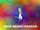 LINUX MEANS FREEDOM rv